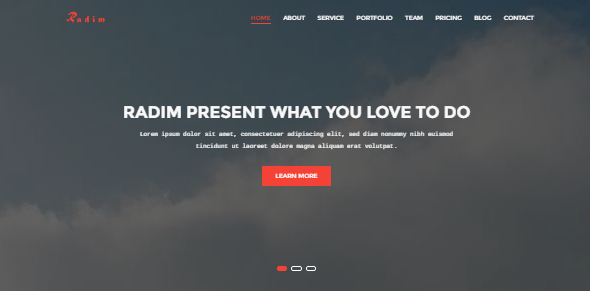 Radim - One Page Business Template