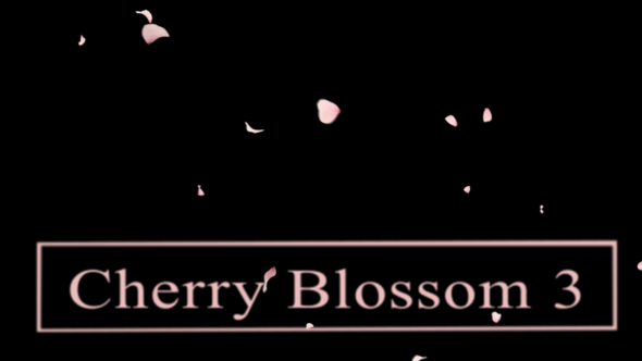 Videohive Cherry Blossom3 19353021