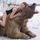 RoarBear