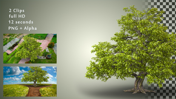 Videohive Tree 19375682