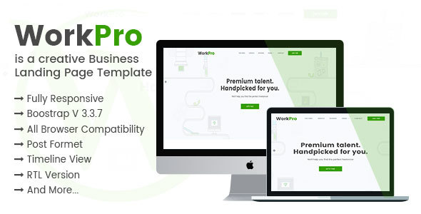 WorkPro is a creative Busines Landing Page Template
