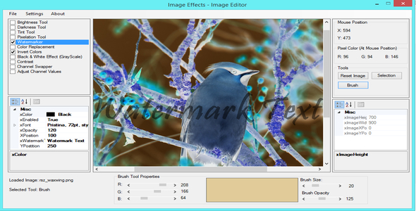 Codecanyon Image Effects - Image Editor 19451458