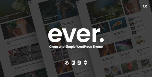Themeforest Ever - Clean and Simple WordPress Theme 19387166