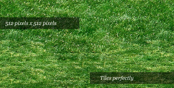 Grass Texture I - 3DOcean Item for Sale