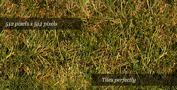 Grass Texture III - 3DOcean Item for Sale