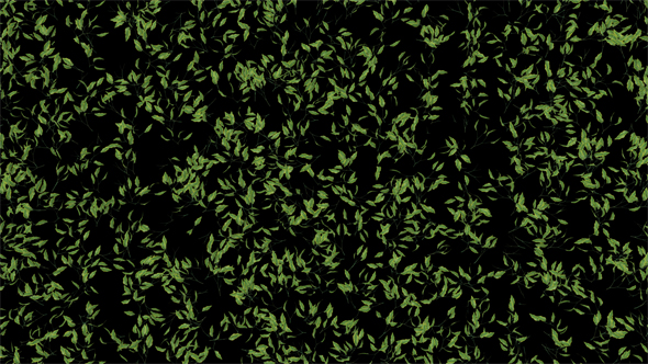 Videohive Meadow Field with Growing Ornamental Shrubs II 19514392