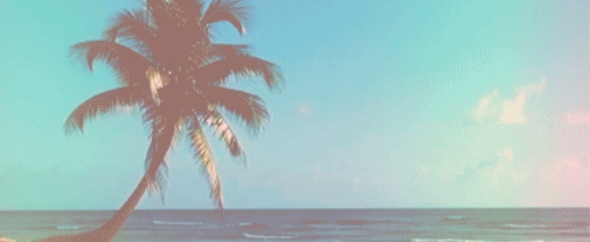 Beach i want5 ocean palm tree favim.com 3301020