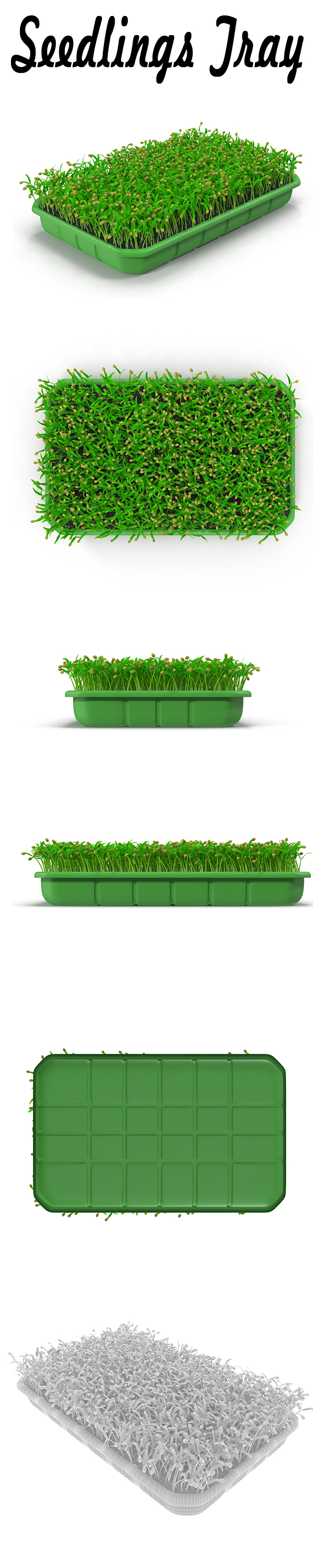 Seedlings Tray # 1 - 3DOcean Item for Sale