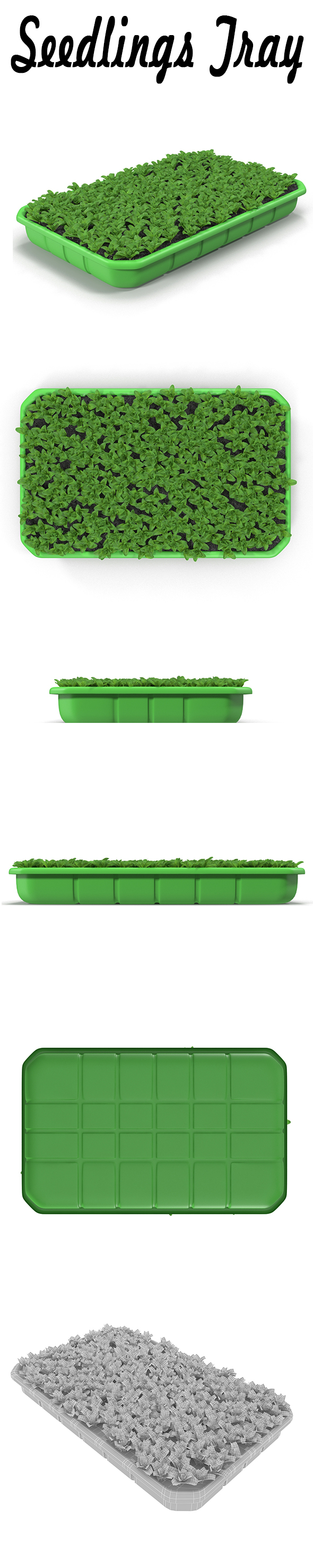 Seedlings Tray # 3 - 3DOcean Item for Sale