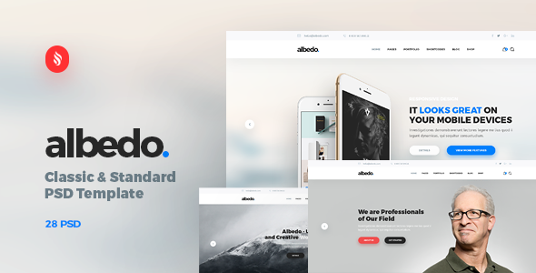 Themeforest Albedo - Classic and Standard PSD Template 19524513