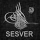 ThemeForest profile picture for @sesver