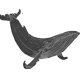 graywhale