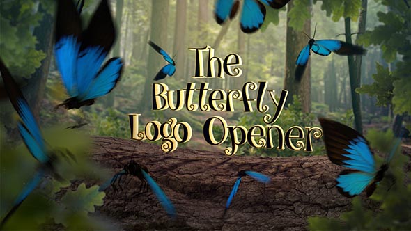 Butterfly Logo Opener 4k After Effects Template