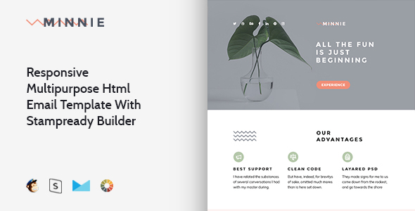 Minnie – Responsive Email + StampReady Builder