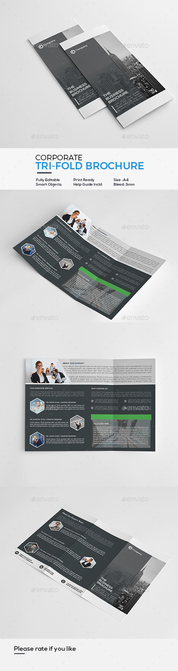 Graphicriver Corporate Trifold Brochure 19577926