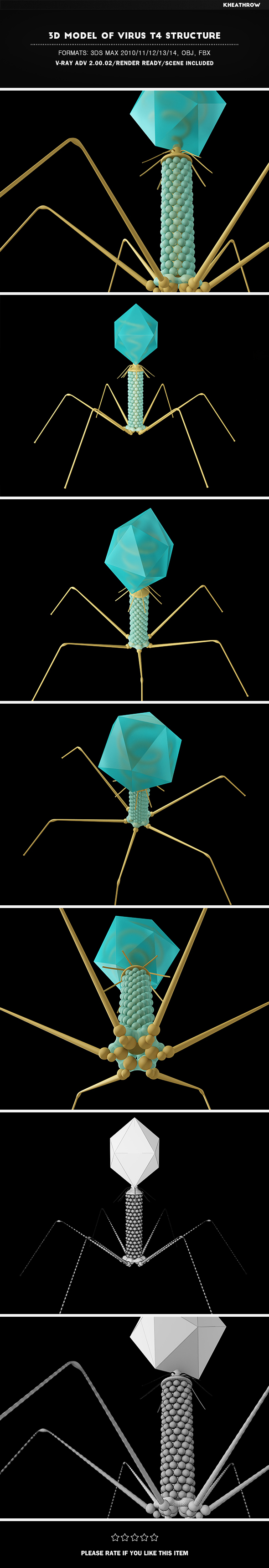 3d Model of Virus T4 Structure - 3DOcean Item for Sale