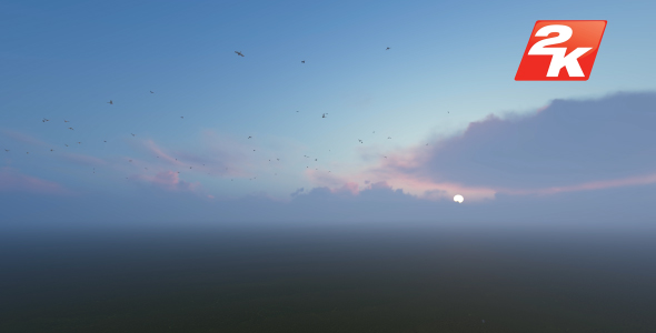 Videohive Sunset Birds 19594670