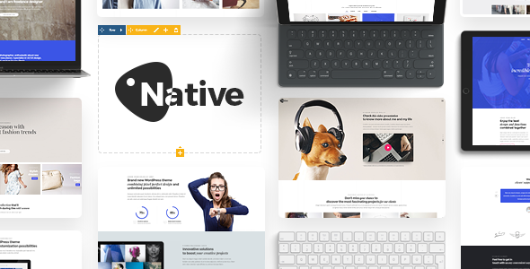 Native - Powerful Startup Development Tool by DFDevelopment ...