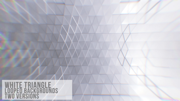 Videohive White Triangle Background Loop 19602001