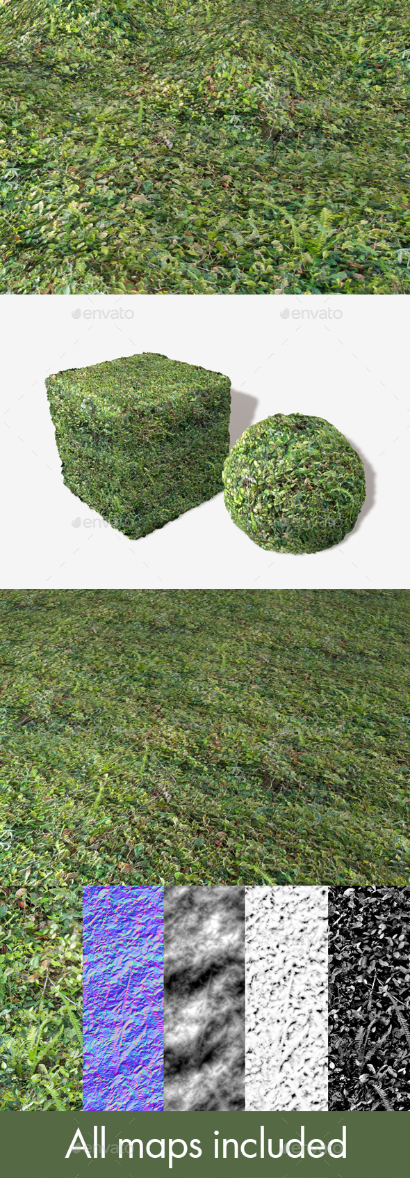 3DOcean Dense Forest Floor Seamless Texture 19671405 3DOcean Dense Forest Floor Seamless Texture 19671405