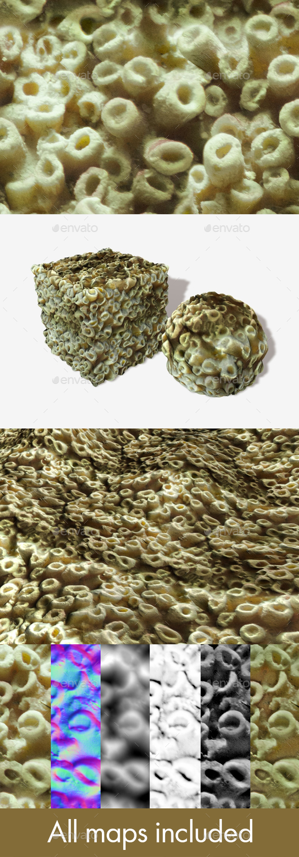 3DOcean Sea Coral Seamless Texture 19671491