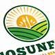 Eco Sun Food Logo