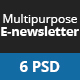 Clean Multipurpose E-newsletter Template