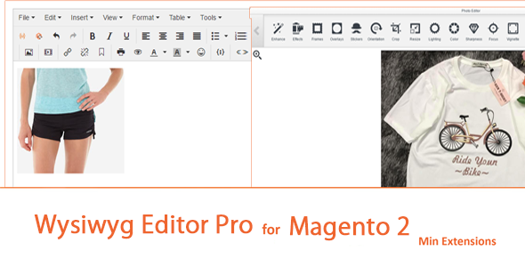 Wysiwyg Editor Pro For Magento 2