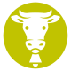 YellowCowMusic