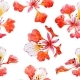 Watercolor Floral Pattern