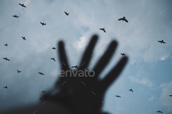 I wish I could join you in the skies.