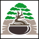 Bonsai Tree Logo