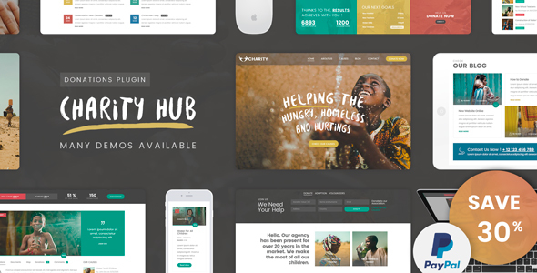 Charity WP Theme