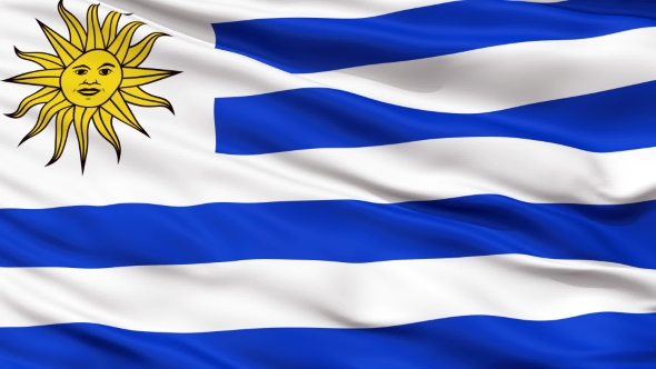 Waving National Flag of Uruguay