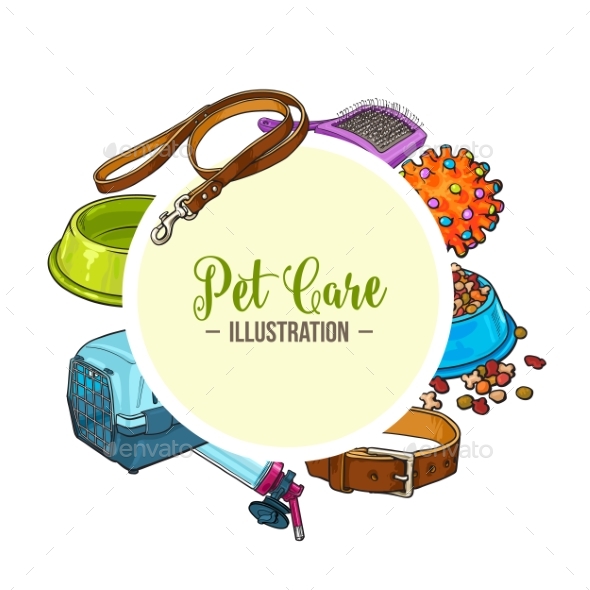 Veterinary Banner of Pet Accessories