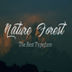 NatureForest Script