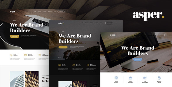 Asper - Responsive Multipurpose Adobe Muse Theme