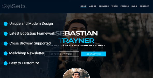 MeSeb - Responsive One Page CV/Resume/Portfolio