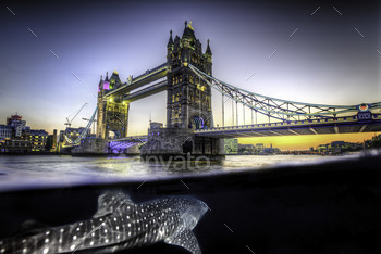 composite whale shark and tower bridge