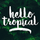 Hello Tropical