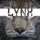 Lynx Multi Purpose Font
