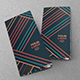 Colorful Lines Trifold