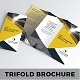 Trifold Brochure