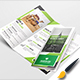 Trifold Brochure