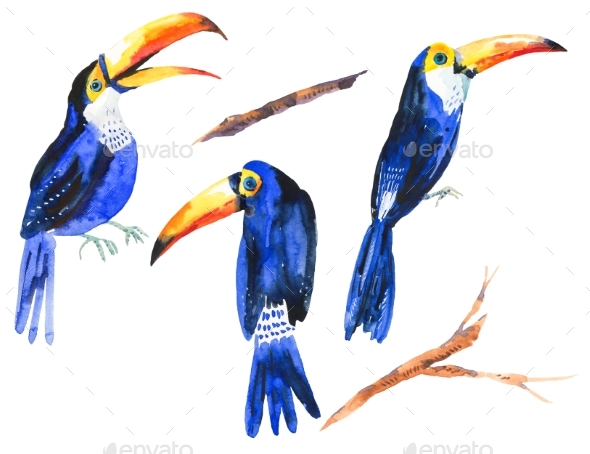 Watercolor Set of Tropical Birds Toucans