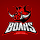 Boar Mascot