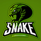 Snake Mascot