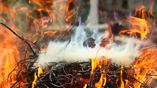 The bonfire 2 The bonfire 2