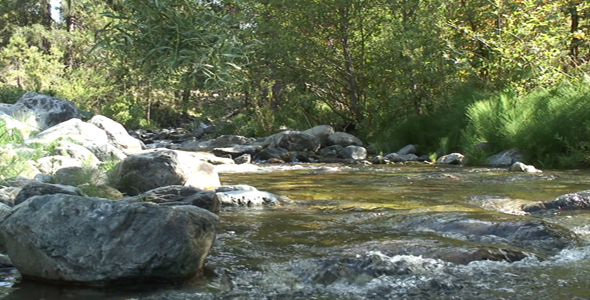 Creek fast flowing Creek fast flowing