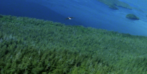 Above a Soaring Eagle Aerial Sequence Above a Soaring Eagle Aerial Sequence